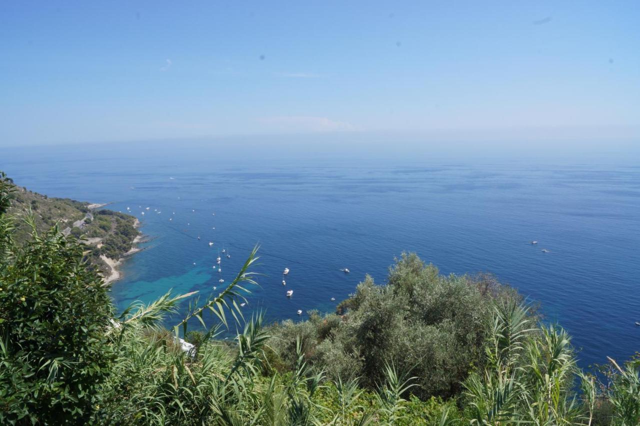 דירות ונטימיגליה Total Sea View Grimaldi מראה חיצוני תמונה